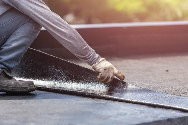 Professional Basement Waterproofing technician working in Washington, DC